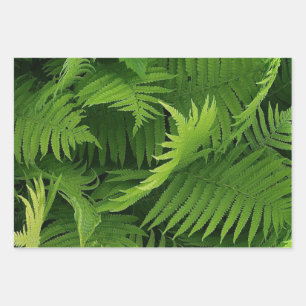 SPRING GREEN FERN PHOTO WRAPPING PAPER SHEETS
