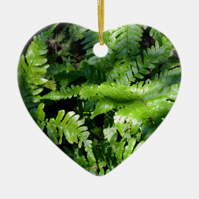 Spring Green Ferns boho botanical  Ceramic Ornament (Front)