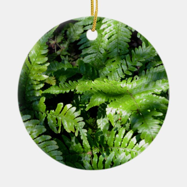 Spring Green Ferns boho botanical  Ceramic Ornament (Front)