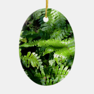 Spring Green Ferns boho botanical Ceramic Ornament