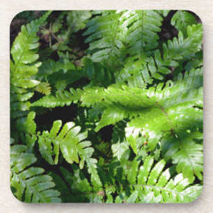 Spring Green Ferns boho botanical Coaster
