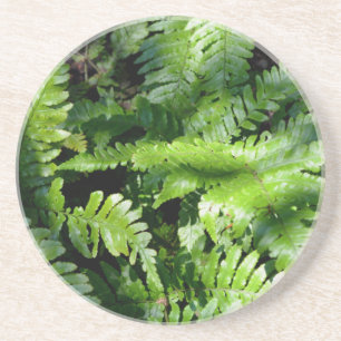 Spring Green Ferns boho botanical Coaster