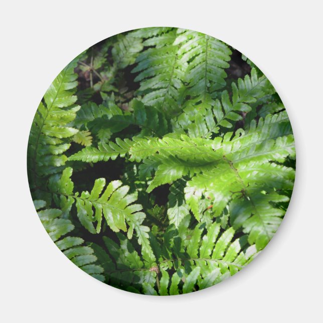 Spring Green Ferns boho botanical  Magnet (Front)