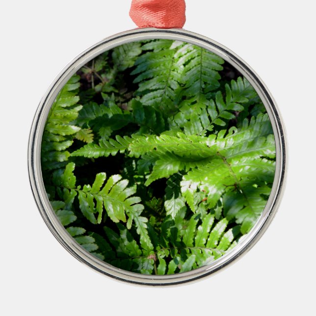 Spring Green Ferns boho botanical  Metal Ornament (Front)