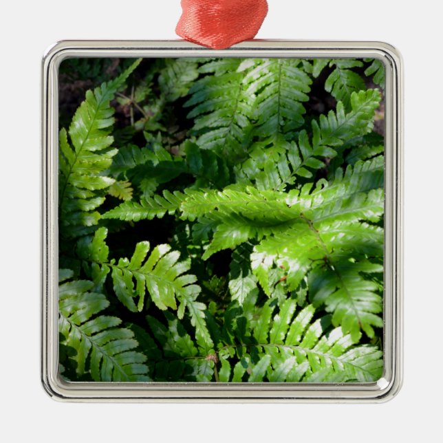 Spring Green Ferns boho botanical  Metal Ornament (Front)