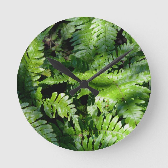 Spring Green Ferns Round Clock (Front)
