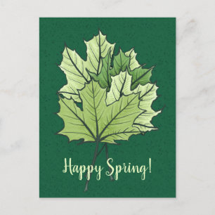 Spring Green Maple Leaves Nature Lover Postcard