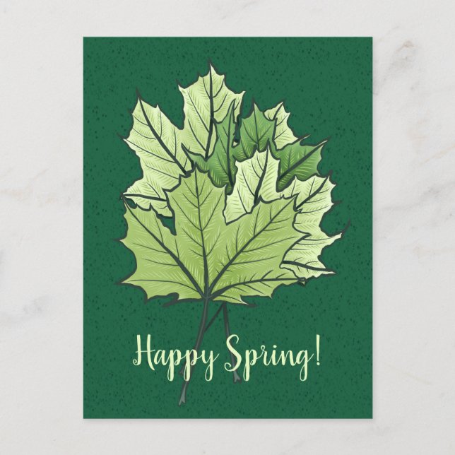 Spring Green Maple Leaves Nature Lover Postcard (Front)