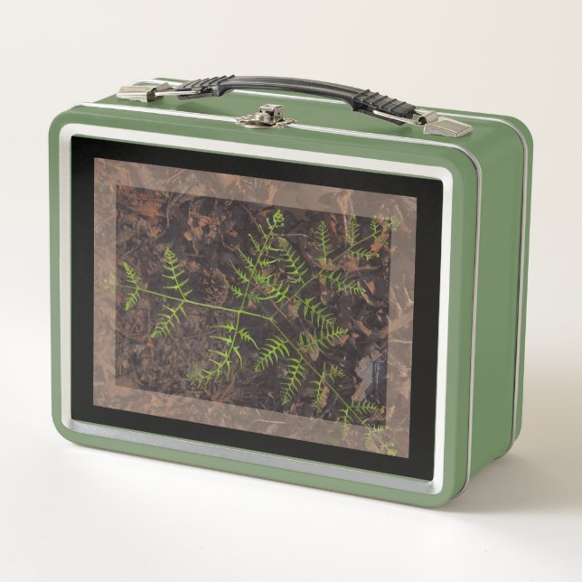 spring green  metal lunch box (Front)