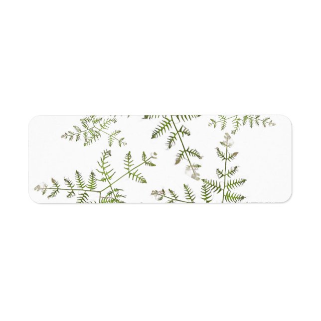 spring green  return address label (Front)