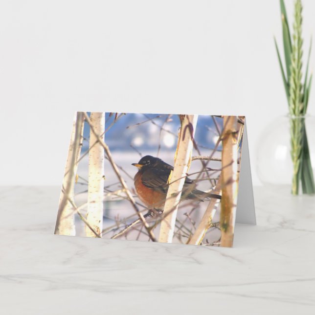 Spring Greetings Card (Front)