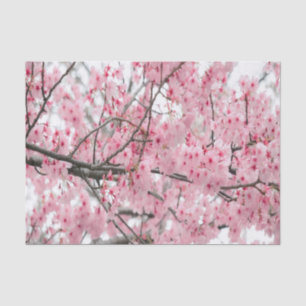 Spring Hanami Festival tissue paper