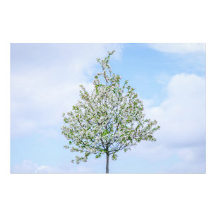 Spring - Happy Easter Photo Print