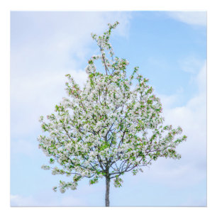 Spring - Happy Easter Photo Print