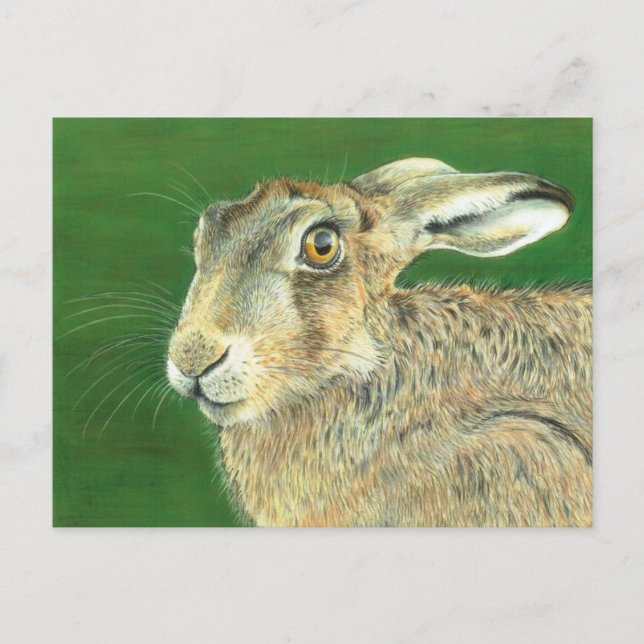 Spring Hare Postcard (Front)