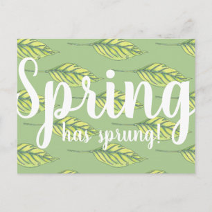 Spring Has Sprung Green Leaves Postcard