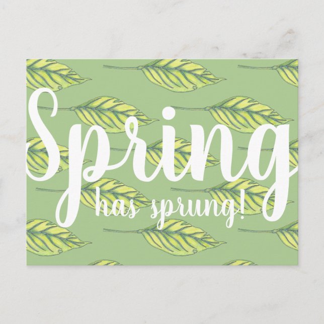 Spring Has Sprung Green Leaves Postcard (Front)