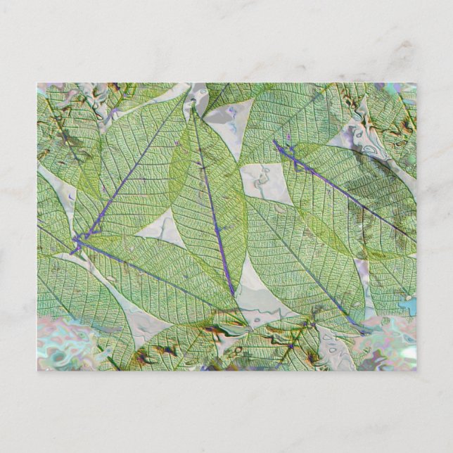 Spring Has Sprung Postcard (Front)