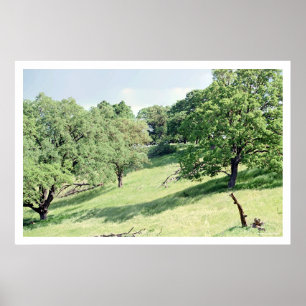 Spring Hillside, San Jose (poster) Poster