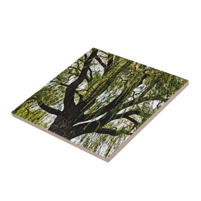 spring hopes muted ceramic tile (Side)