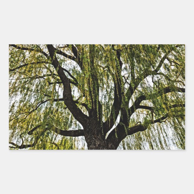 spring hopes muted rectangular sticker (Front)