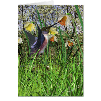 Spring Hummingbird Cards