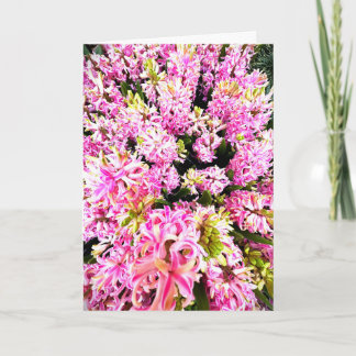 Spring Hyacinth Blank Card