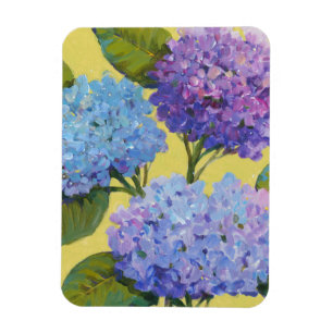 Spring Hydrangeas I Magnet