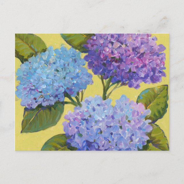 Spring Hydrangeas I Postcard (Front)