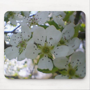 Spring in Bloom Mouse Pad