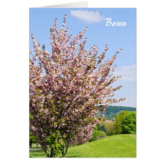 Spring in Bonn (Front)