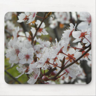 Spring in Canberra Mouse Pad