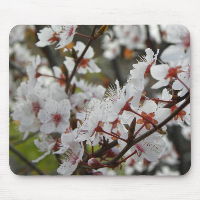 Spring in Canberra Mouse Pad (Front)