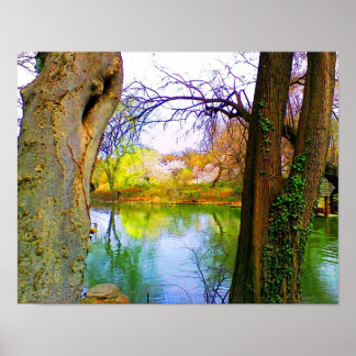 Spring in Central Park Poster