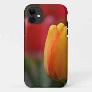 Spring in Colours iPhone 11 Case