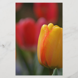 Spring in Colours Stationery