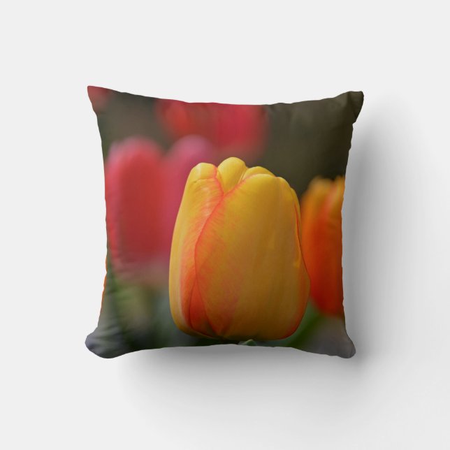 Spring in colours Throw Pillow (Front)