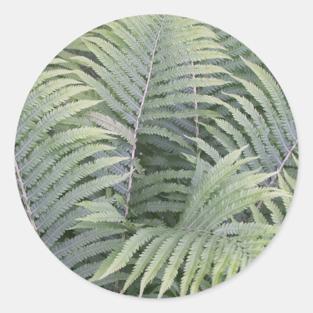 Spring In Maine Classic Round Sticker (Front)