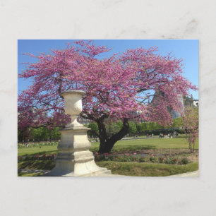 Spring in Paris Postcard