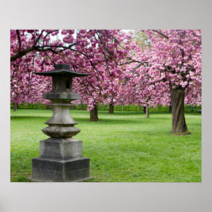 Spring in Paris Poster