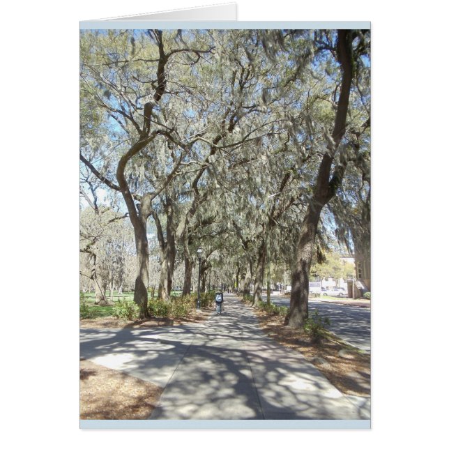 Spring in Savannah (Front)