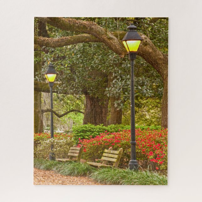 Spring in Savannah, GA, Forsyth Park, Photography Jigsaw Puzzle (Vertical)
