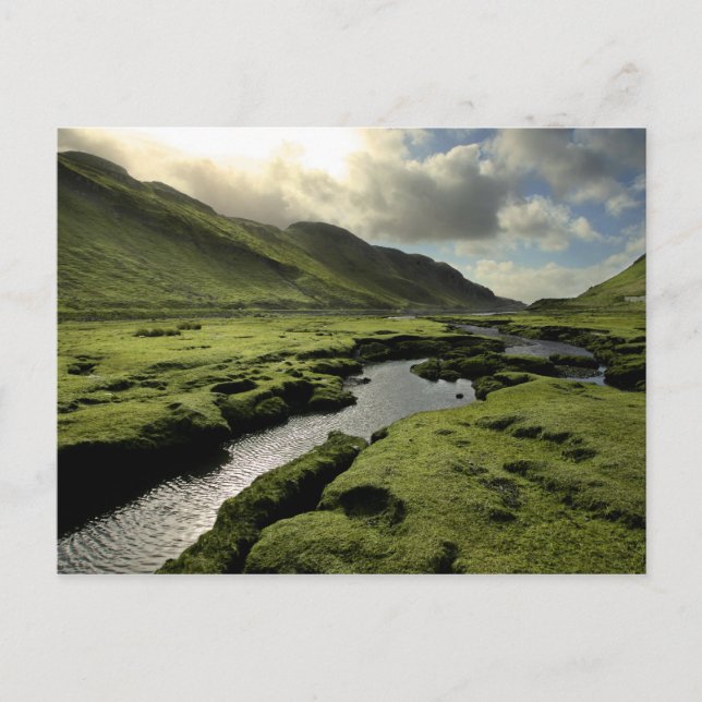 Spring in Scottish Highlands Postcard (Front)