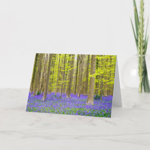 Spring in the Blue Forest Card