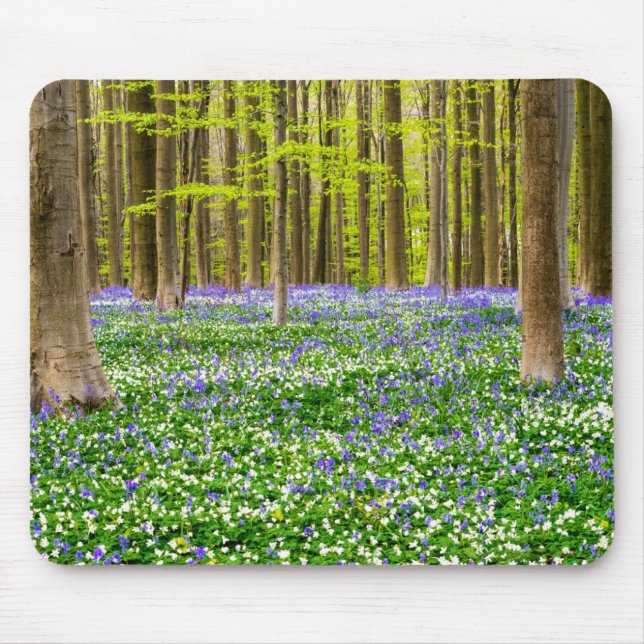 Spring in the Blue Forest Mouse Pad (Front)