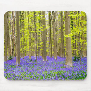 Spring in the Blue Forest Mouse Pad