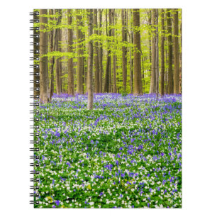 Spring in the Blue Forest Notebook