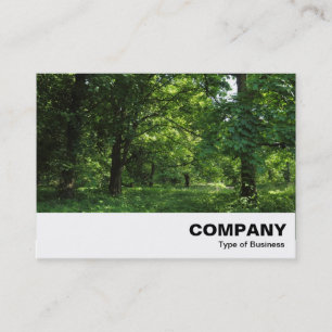Spring in the Woods 01 Business Card