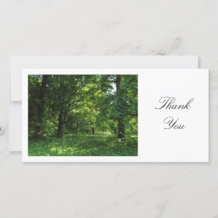 Spring in the Woods 01 - Thank You Card