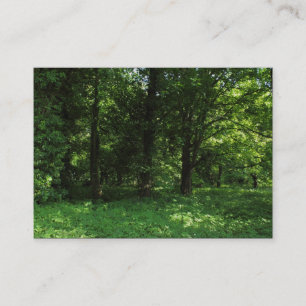 Spring in the Woods 02 Business Card